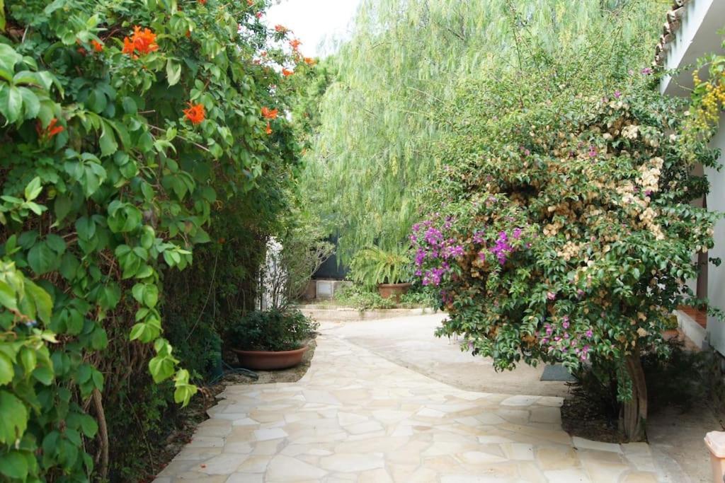 Villa Acquario Torre delle Stelle Εξωτερικό φωτογραφία