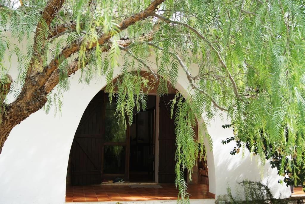 Villa Acquario Torre delle Stelle Εξωτερικό φωτογραφία